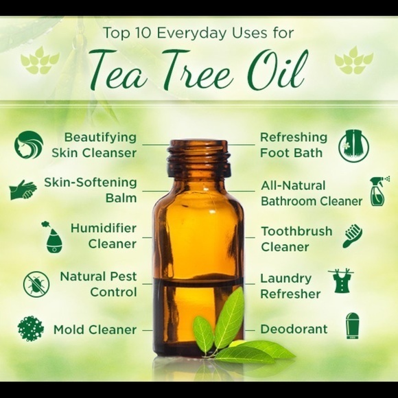 Essential Oil - Cleanse Scent - Picture 13 of 16